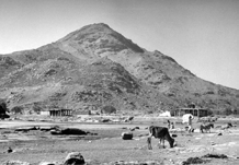 arunachalla hill